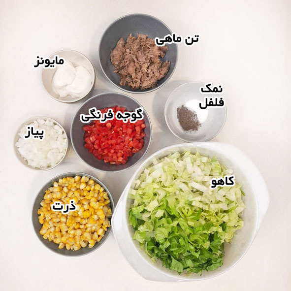 سالاد تن ماهی